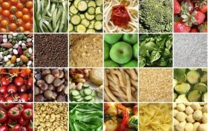 19 voci per una corretta alimentazione