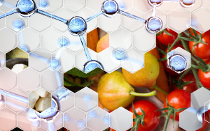 Studio delle nanoparticelle negli alimenti e relativa valutazione del rischio