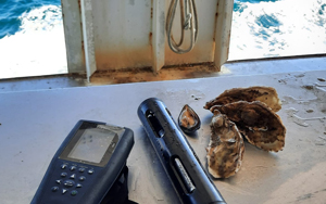 Classificazione delle aree destinate alla molluschicoltura in Puglia: punto cardine per la garanzia della sicurezza del consumatore